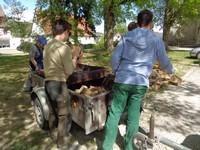 DSC00594.JPG