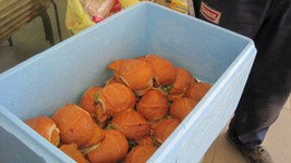 IMG_0424.JPG