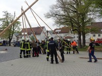 Maibaum (30).JPG