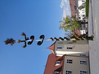 Maibaum (68).JPG