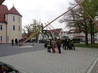 Maibaum (24).JPG