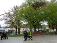 Maibaum (25).JPG