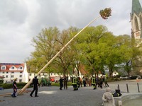 Maibaum (35).JPG