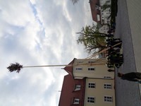 Maibaum (36).JPG