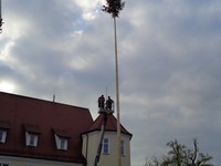 Maibaum (44).JPG